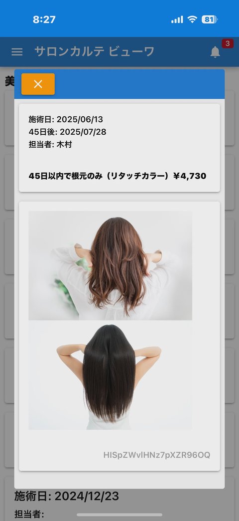 顧客のアプリ画面例